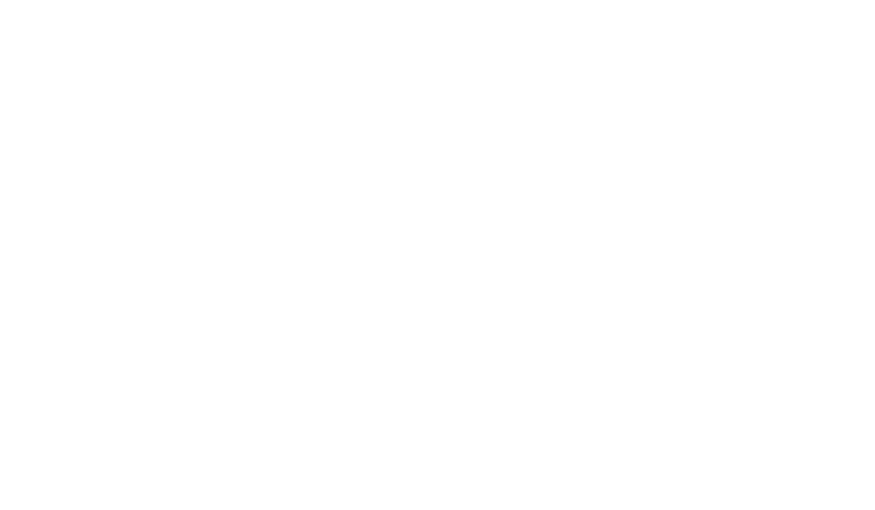 light logo